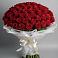 Букет 101 Красная роза Блэк Мэджик в Кардымово