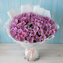 Букет цветов из:  Хризантемы в Кардымово