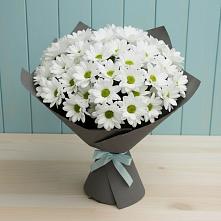 Букет цветов из:  Хризантемы в Кардымово