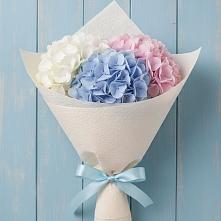 Букет цветов из:  Гортензия в Кардымово