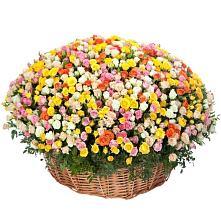 Премиум букет из: Розы #REPLACE_PRED# Кардымово