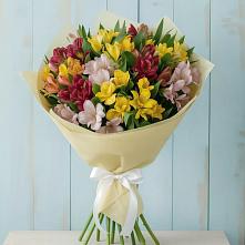 Букет цветов из:  Альстромерии в Кардымово