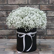 Цветочная композиция из Гипсофила в шляпной коробке в Кардымово