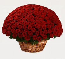 Премиум букет из: Розы в Кардымово