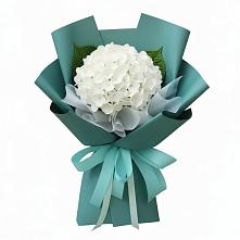 Букет цветов из:  Гортензия в Кардымово